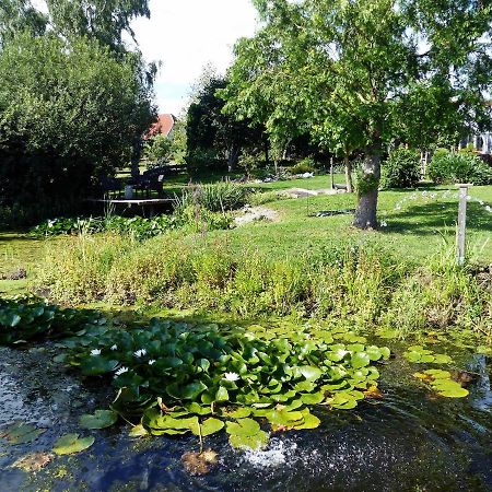 "Balmgarten" Im Naturpark Usedom, Bio Solarhaus Mit Grossem Garten Esterno foto