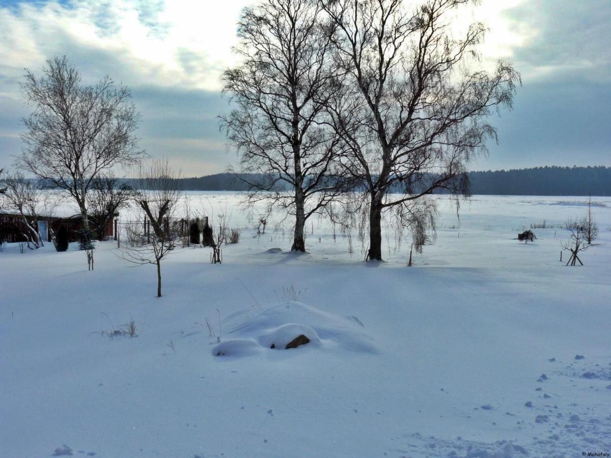 "Balmgarten" Im Naturpark Usedom, Bio Solarhaus Mit Grossem Garten Esterno foto