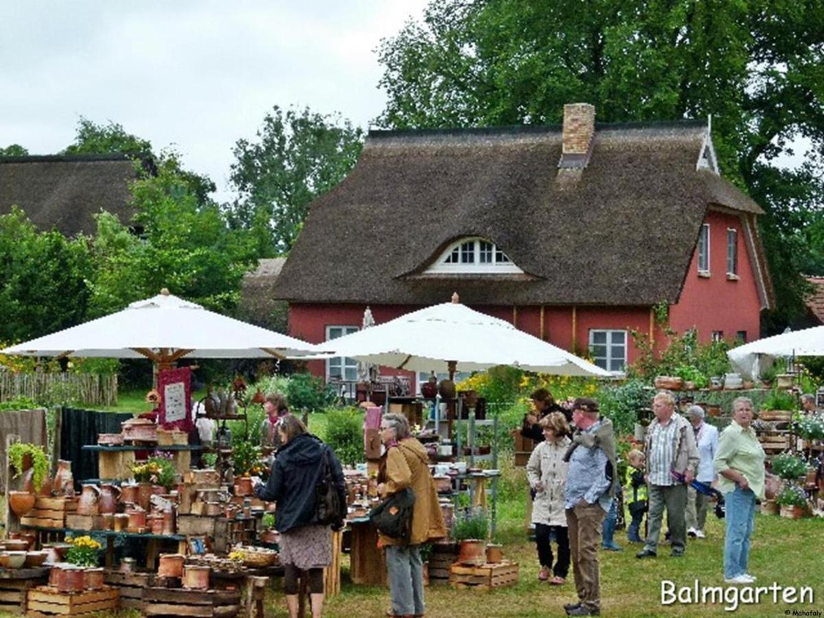 "Balmgarten" Im Naturpark Usedom, Bio Solarhaus Mit Grossem Garten Esterno foto