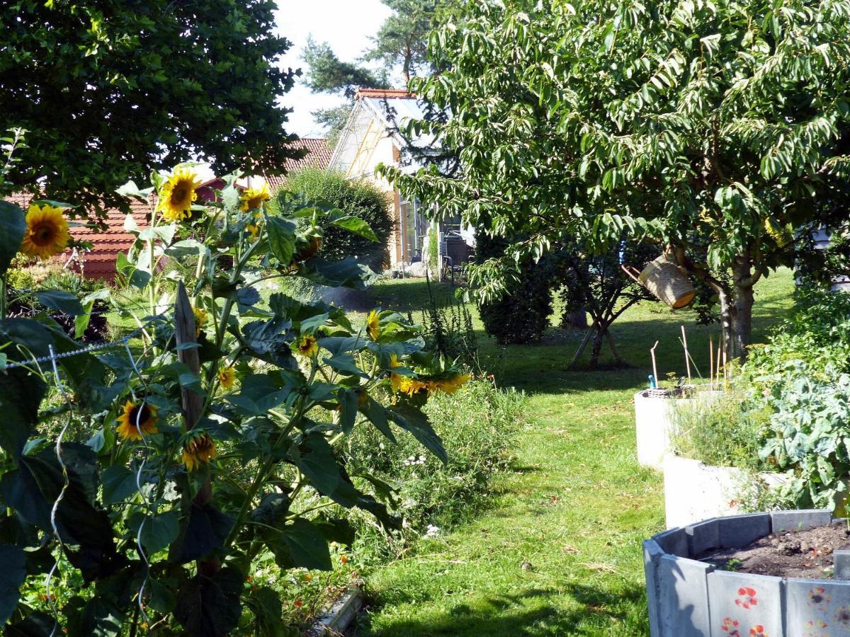 "Balmgarten" Im Naturpark Usedom, Bio Solarhaus Mit Grossem Garten Esterno foto