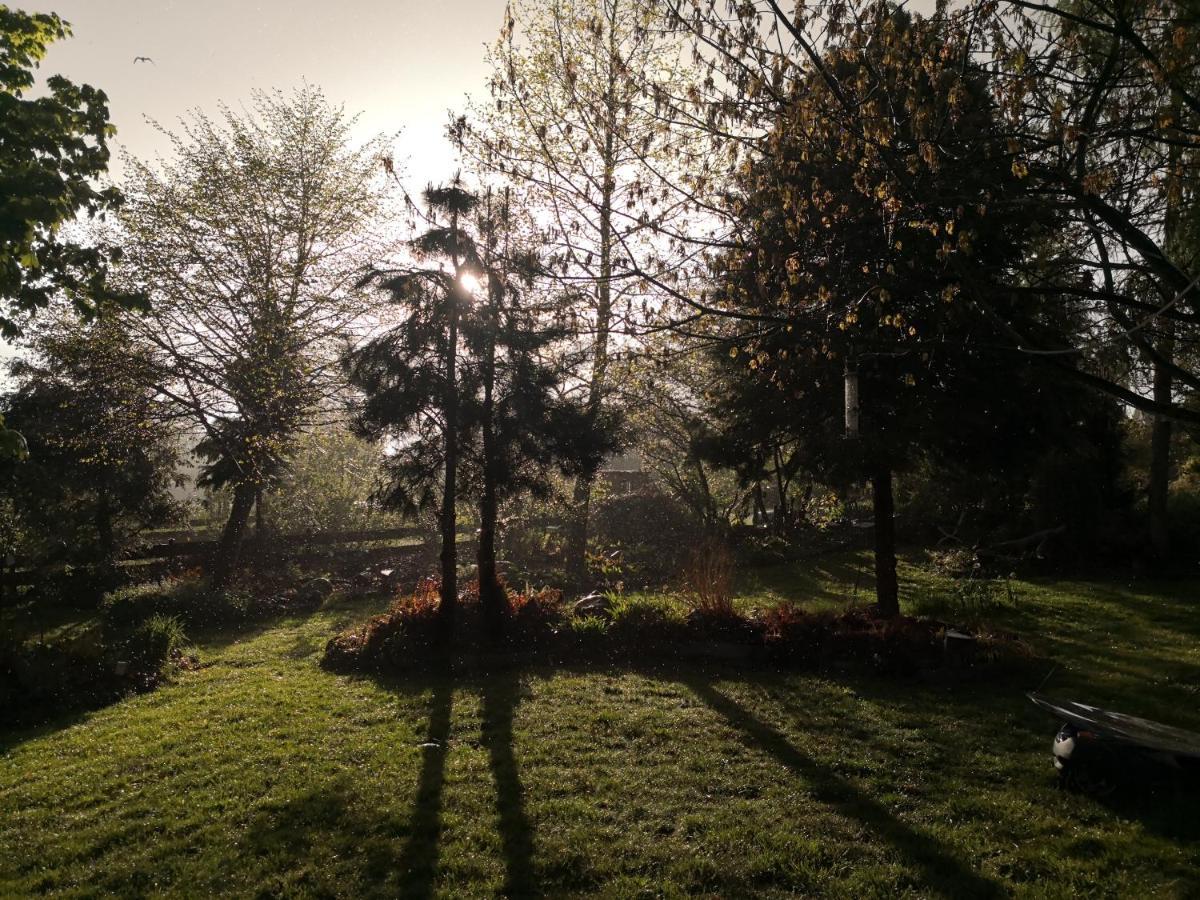 "Balmgarten" Im Naturpark Usedom, Bio Solarhaus Mit Grossem Garten Esterno foto