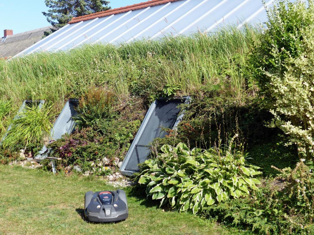 "Balmgarten" Im Naturpark Usedom, Bio Solarhaus Mit Grossem Garten Esterno foto