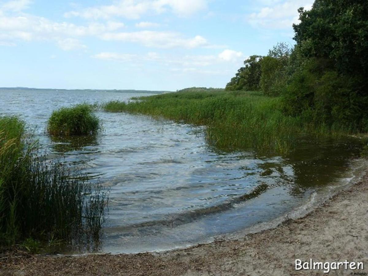 "Balmgarten" Im Naturpark Usedom, Bio Solarhaus Mit Grossem Garten Esterno foto