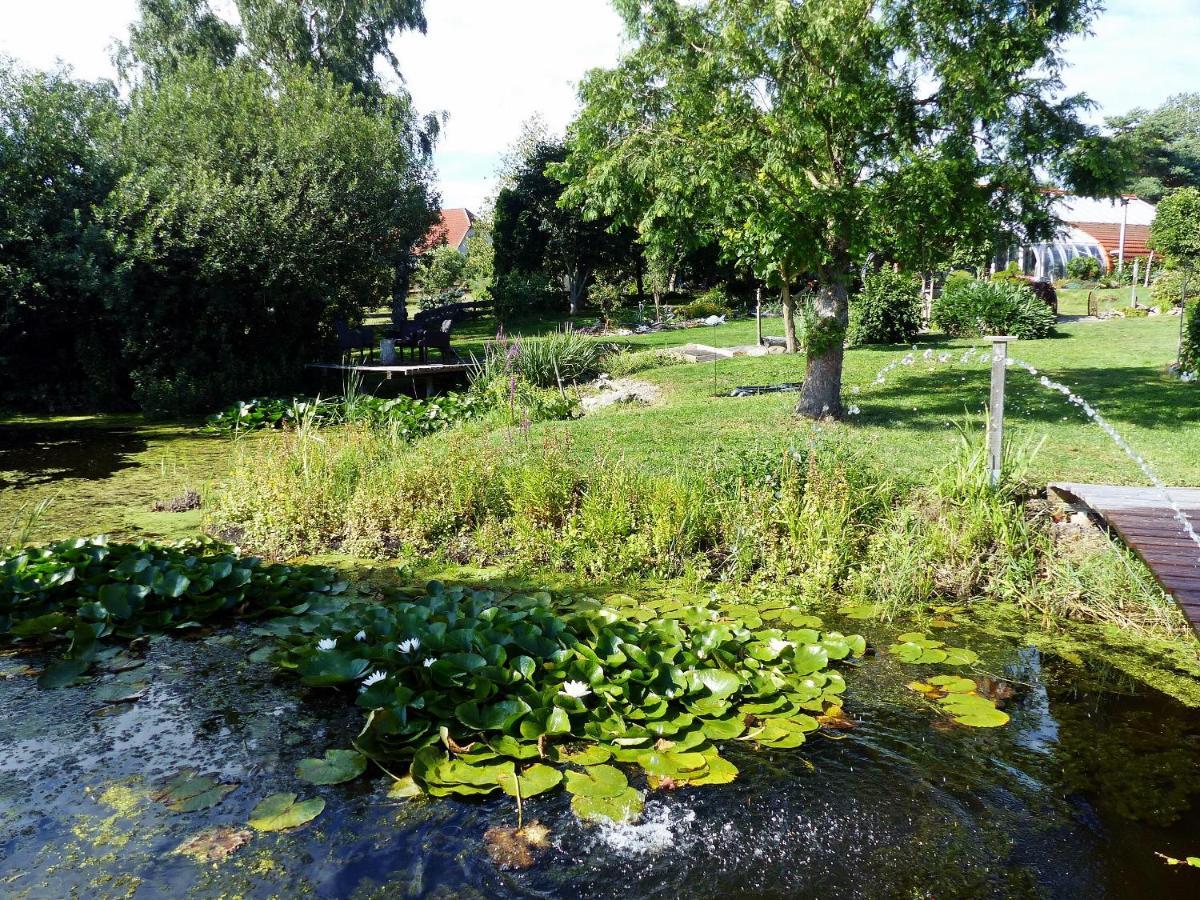 "Balmgarten" Im Naturpark Usedom, Bio Solarhaus Mit Grossem Garten Esterno foto